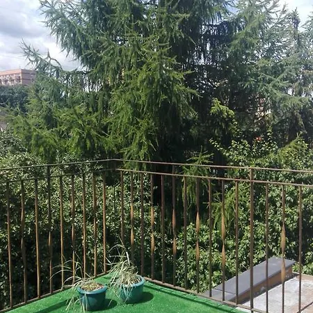 Malvarosa *